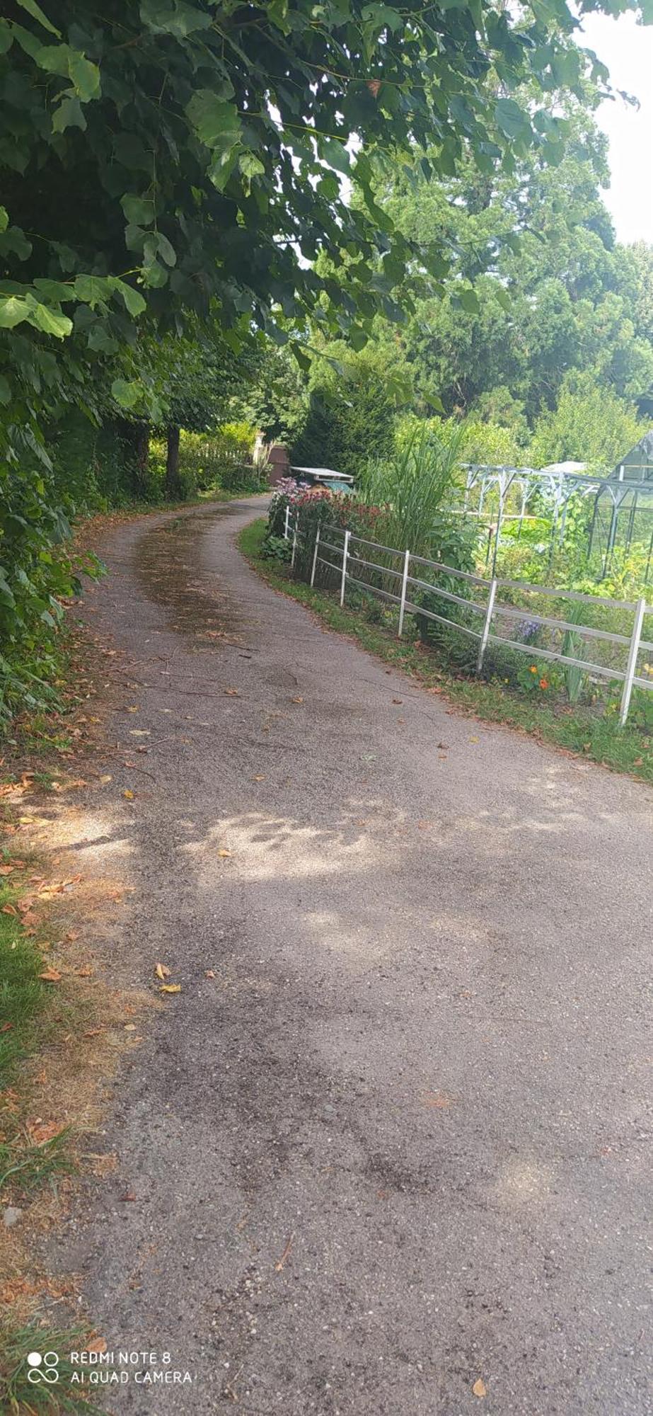Logement Independant Attenant A Une Maison Dans Grand Jardin Retournac エクステリア 写真